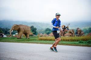 BIB: 904, 
                            <button type="button" onclick="openModal(22401840)" class="btn btn-primary btn-sm float-right btn-popup" data-toggle="modal" data-target=".modal-high-quality">
                        <i class="fas fa-shopping-cart"></i> Add to Cart
                    </button>
                                            <button type="button" onclick="isThisMe(22401840, true)" class="btn btn-success btn-sm float-right btn-popup btn-isme hidden" data-toggle="tooltip" data-placement="bottom" title="นี่คือรูปของคุณใช่ไหม คลิกที่นี่เพื่อเอาเข้าอัลบั้ม">
                        <i class="fas fa-plus"></i> Add to album
                    </button>
                    <button type="button" onclick="isThisMe(22401840, false)" class="btn btn-warning btn-sm float-right btn-popup btn-isnotme hidden">
                        <i class="fas fa-ban"></i> Remove from album
                    </button>